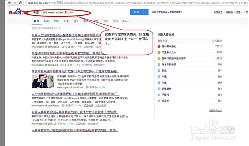 全球知名搜索引擎，功能对比与选择指南插图