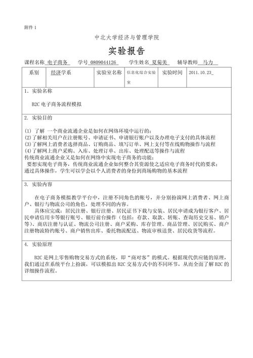 商务网站开发实训报告，实践与探索插图