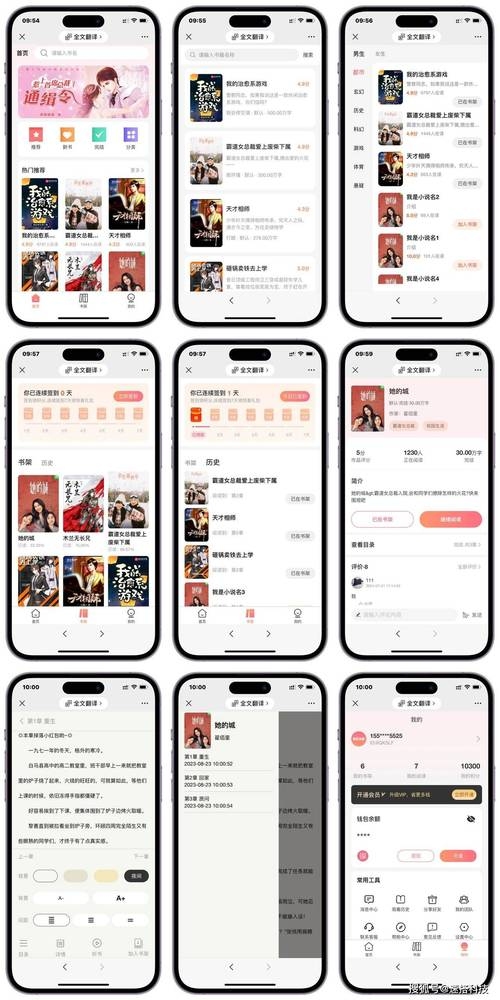 探索小说阅读网站源码的奥秘插图 探索小说阅读网站源码的奥秘插图