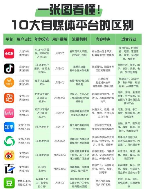 自媒体平台现状解析，当下主流自媒体平台有哪些？插图