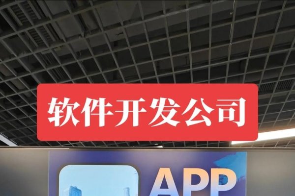安徽软件定制开发，专业可靠，灵活高效的选择-红迪亚