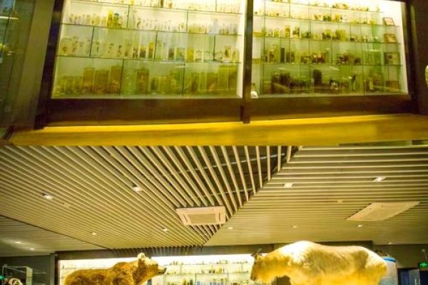 百度指数提交,探寻指数蛙的奥秘之旅-红迪亚