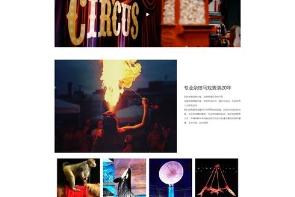 传媒公司网站设计策略与实践-红迪亚