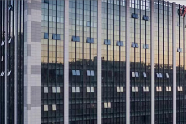 东莞网站网络公司，引领数字化时代的创新力量-红迪亚