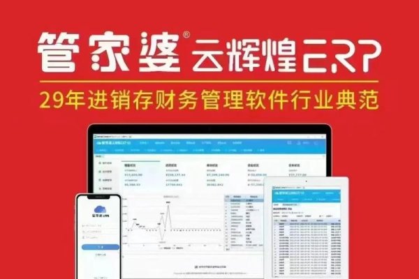 定制开发企云云管家婆软件，引领企业数字化转型的新引擎-红迪亚