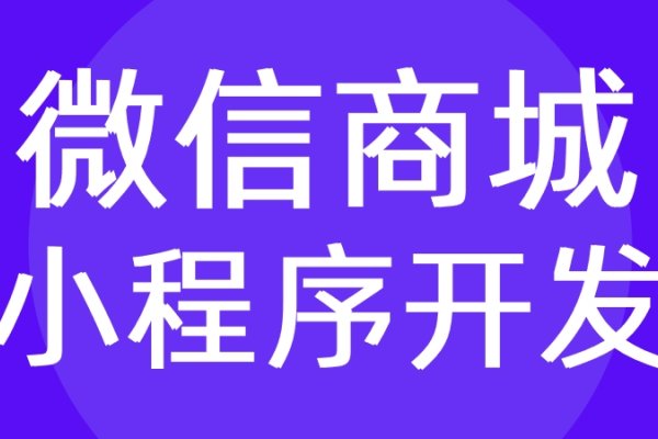 广东小程序定制专家，红匣子科技助力产品闪耀市场-红迪亚