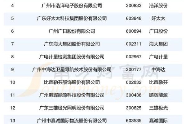 广州番禺网络公司概览，细刻、启讯及九丁六甲科技实力解析-红迪亚