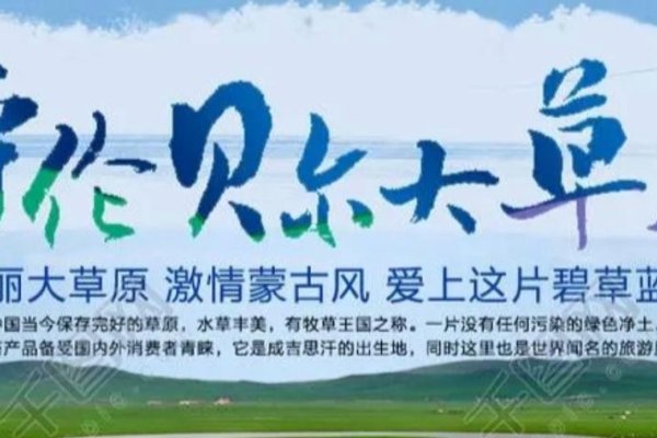 呼伦贝尔网站设计，探索草原之美的数字化呈现-红迪亚