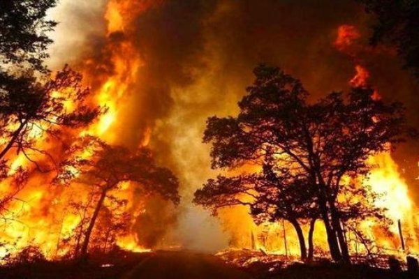 加拿大火灾与伊拉克认证双重挑战-红迪亚