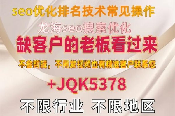 龙海网站优化代理服务介绍-红迪亚