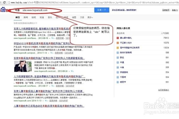 全球知名搜索引擎，功能对比与选择指南-红迪亚