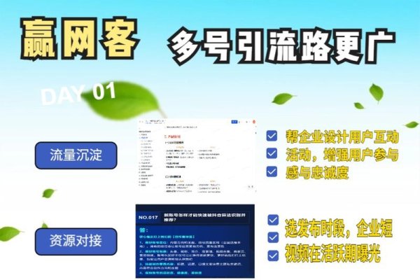 石家庄企业网站搭建与获客策略-红迪亚