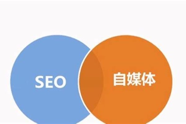 网站页面优化，提升用户体验与搜索引擎排名的关键-红迪亚