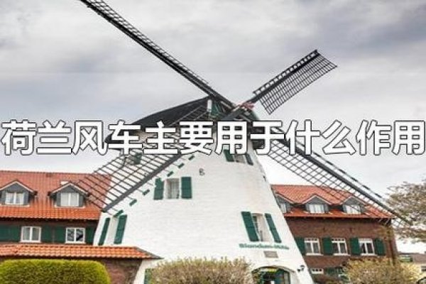 荷兰风车服务器指南-红迪亚