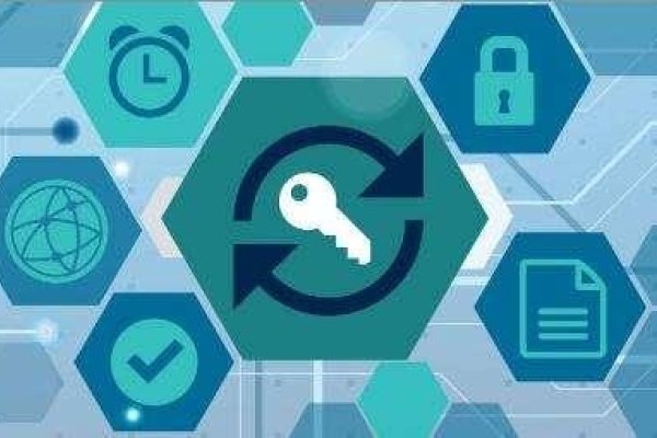 域名注册商需要付费的原因及其重要性-红迪亚