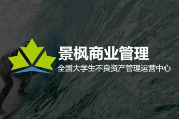 债务优化公司加盟，恒昌隆等专业方案助力解决负债问题-红迪亚