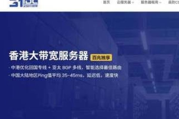香港大宽带VPS，极速网络体验的完美选择-红迪亚