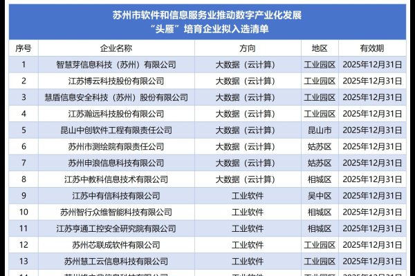 苏州代运营公司排名揭晓-红迪亚