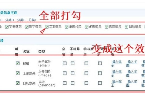 dz论坛SEO设置详解，从自定义页面到优化策略-红迪亚