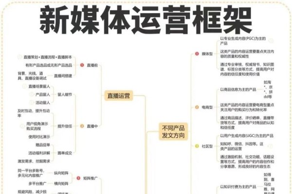 新媒体运营能力提升-红迪亚