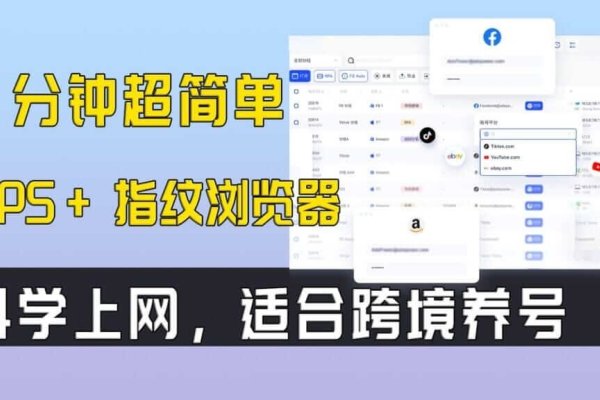 VPS服务器设置教程，轻松上手-红迪亚