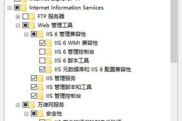 Web服务器上的手动配置，关键步骤与最佳实践-红迪亚