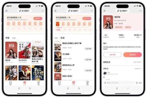 探索小说阅读网站源码的奥秘-红迪亚