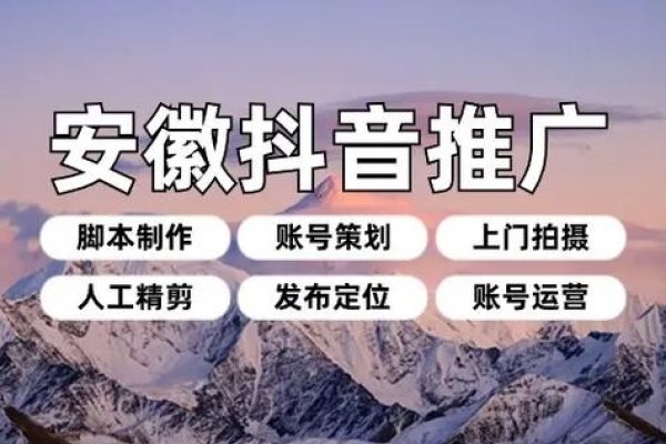 滁州SEO优化公司，引领企业网络推广新篇章-红迪亚