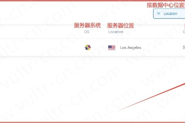 Vultr云服务提供商的配置与使用指南-红迪亚