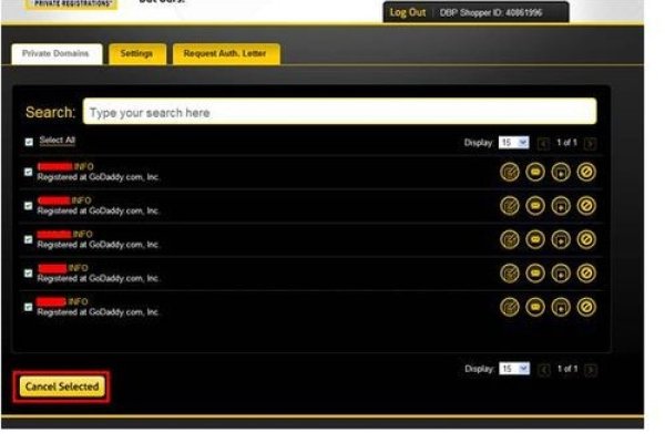 GoDaddy域名注册,隐私保护、全球通用性与专业服务的优选-红迪亚