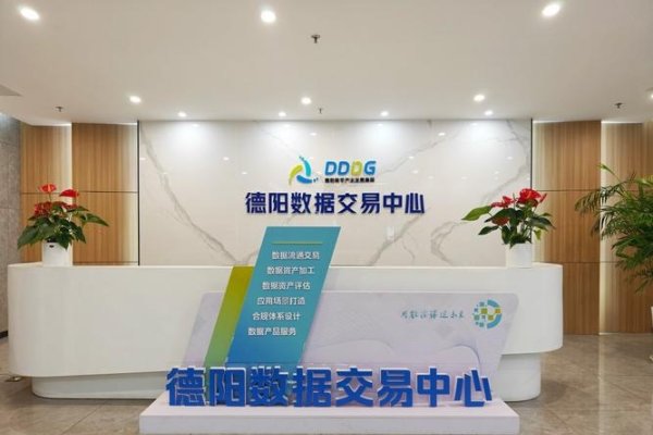 德阳网站建设，打造数字化时代的门户新篇章-红迪亚