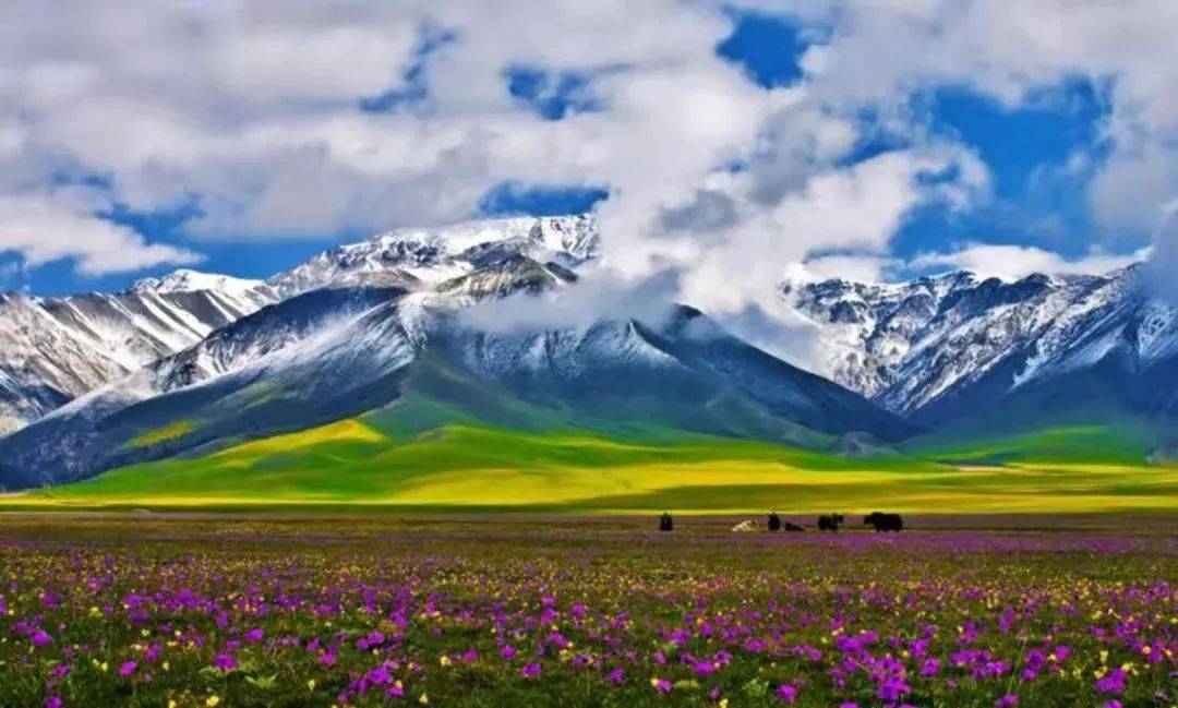 阿克苏地区,风土人情、环境与生活方式的深度解读插图 阿克苏地区,风土人情、环境与生活方式的深度解读插图