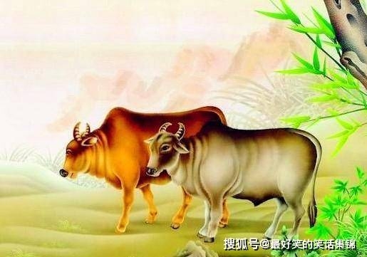 安身立命,首选生肖牛。插图 安身立命,首选生肖牛。插图