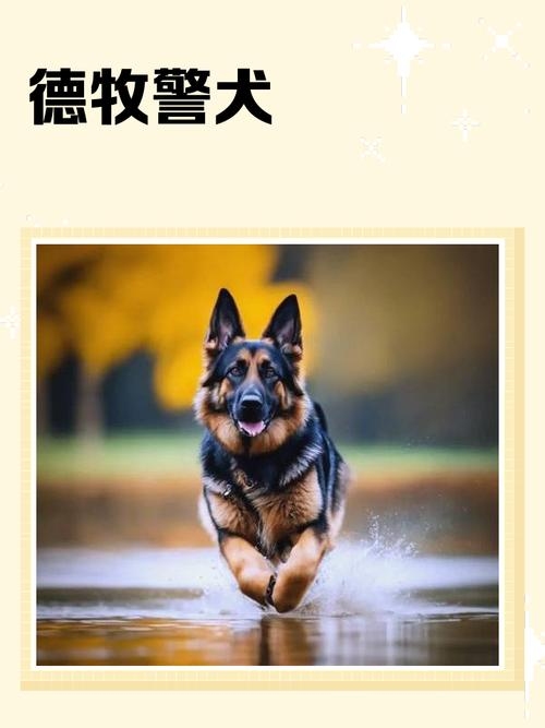 安身之狗，忠诚安稳的象征插图