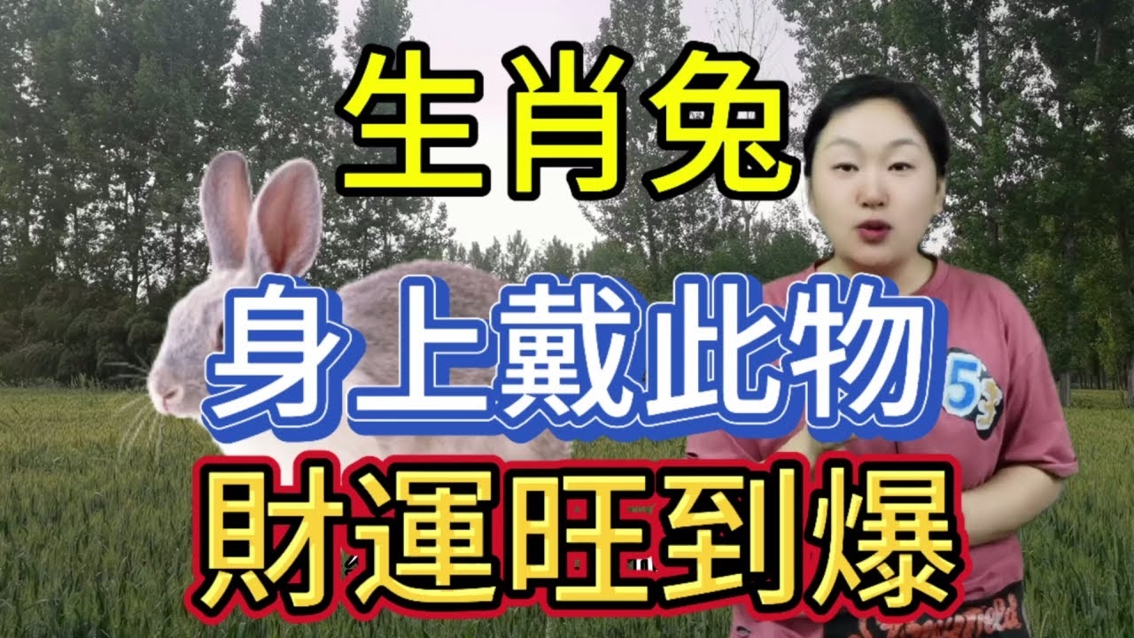 暗香浮动揭秘生肖兔的独特魅力与智慧象征，微风吹拂传香气，‘暗香浮动’猜一生肖龙？  ​​​，生肖蛇的暗香浮动，解读传统符号下的深层含义   。插图