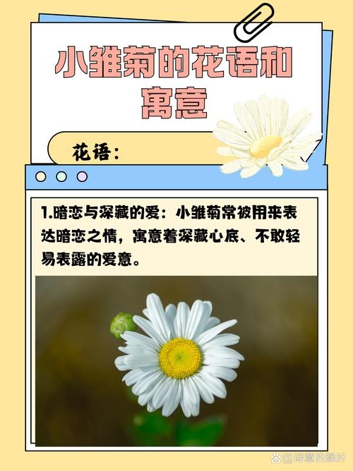 暗恋之花的花语与遗憾表达建议,花语背后的秘密——那些代表暗恋的花朵插图 暗恋之花的花语与遗憾表达建议,花语背后的秘密——那些代表暗恋的花朵插图