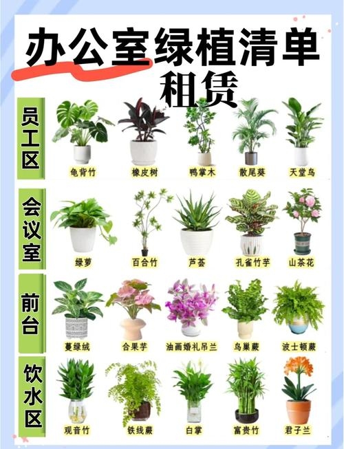 办公室植物摆放风水详解，如何提升财运与事业运建议，揭秘办公室植物摆放的风水之道，助力事业腾飞插图