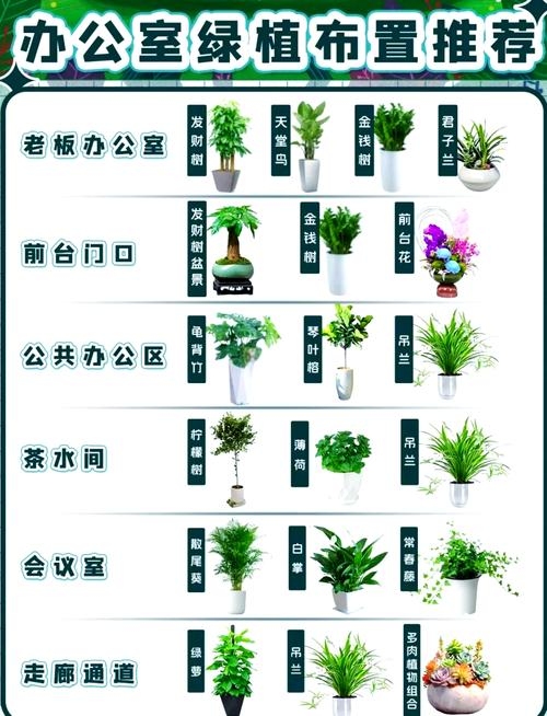 办公室植物风水布局指南插图 办公室植物风水布局指南插图