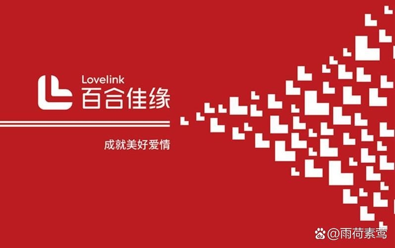 百合佳缘，靠谱婚恋平台插图