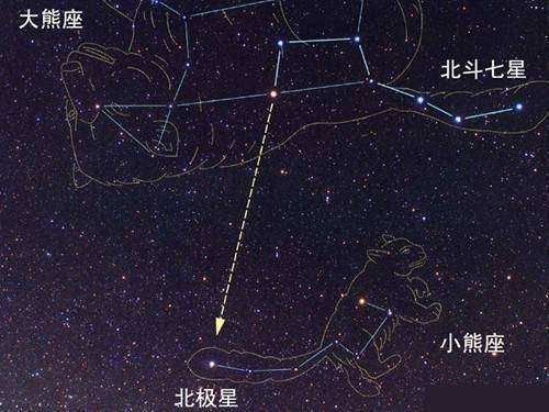 北极星小熊座之星插图