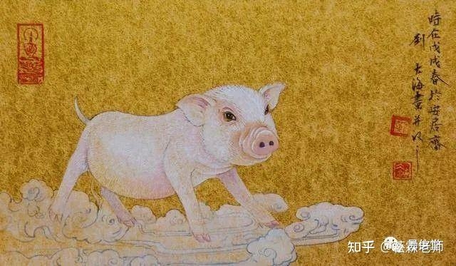 不进油盐打一正确生肖的猪插图