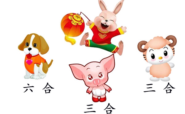 八面玲珑，生肖兔猴猪与玉兔的象征解读插图