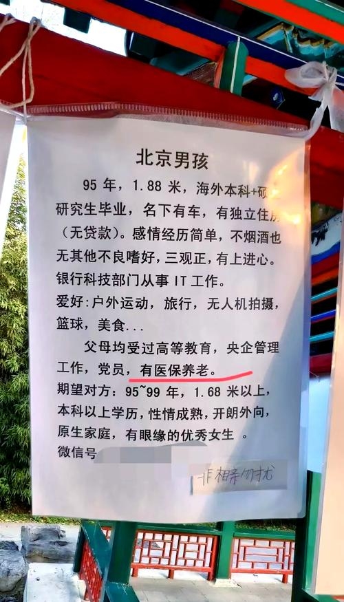 北京相亲角，多渠道寻找合适伴侣的指南插图