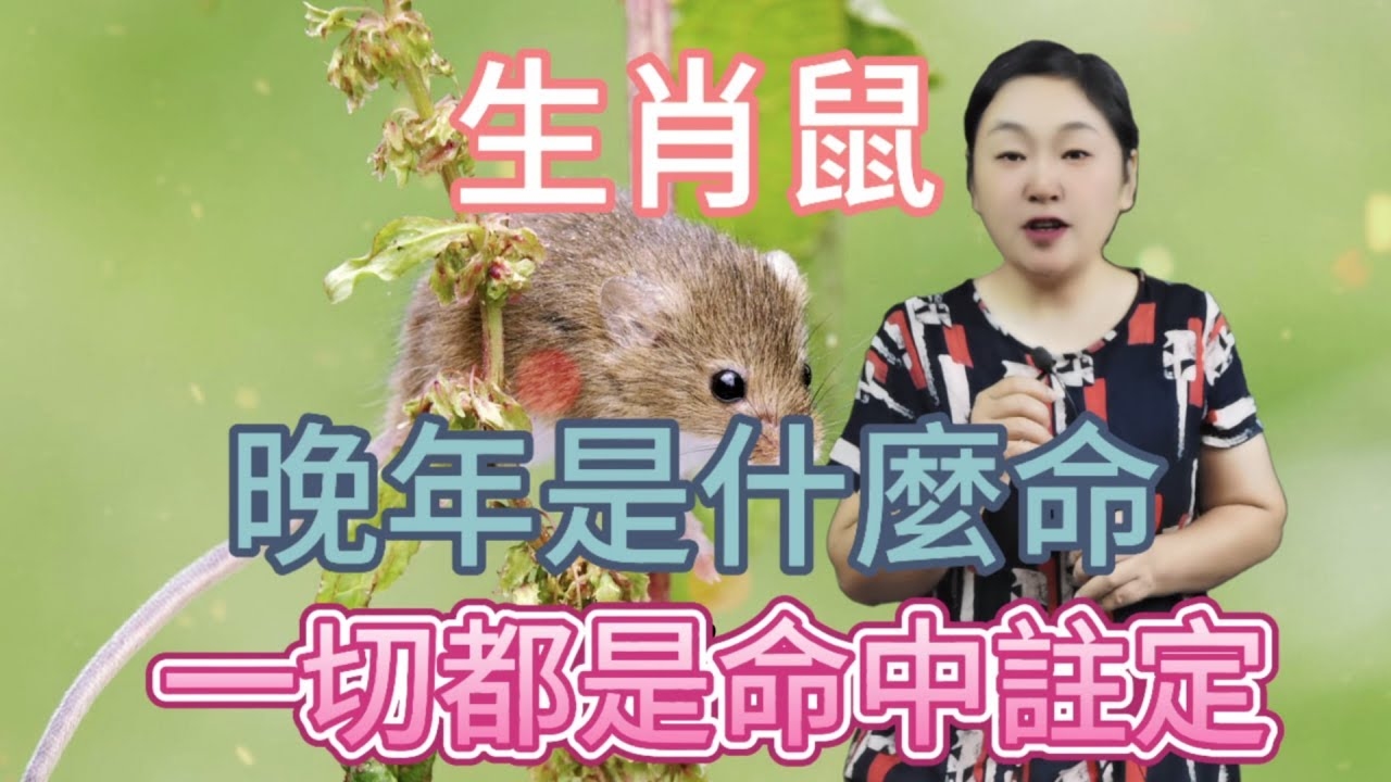 半夜三更指的生肖是鼠，因三更是子时，对应生肖为鼠。插图