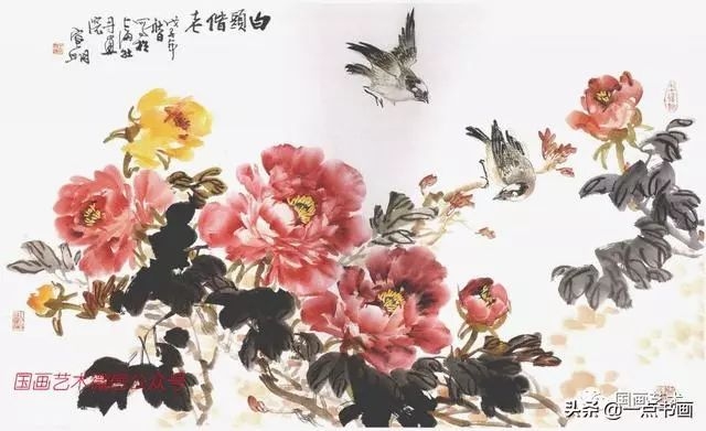 白云朵朵鸟飞来与生肖鸡的关联解析插图