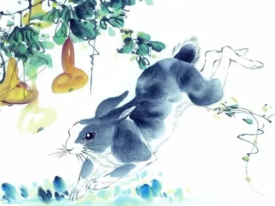 餐风饮露生肖兔插图