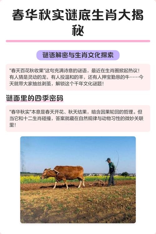 春华秋实打一生肖，答案不一，牛、猪皆有理。插图