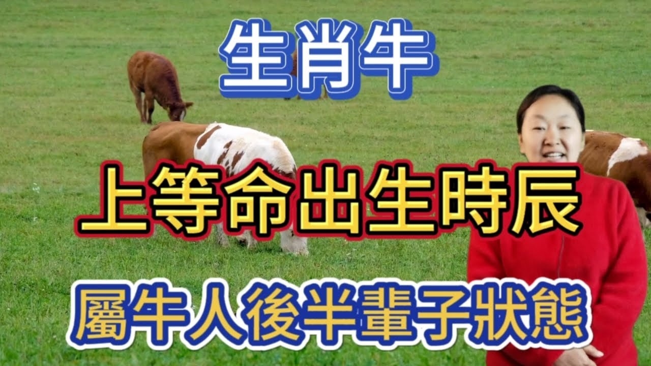 长年累月指的是生肖牛。插图