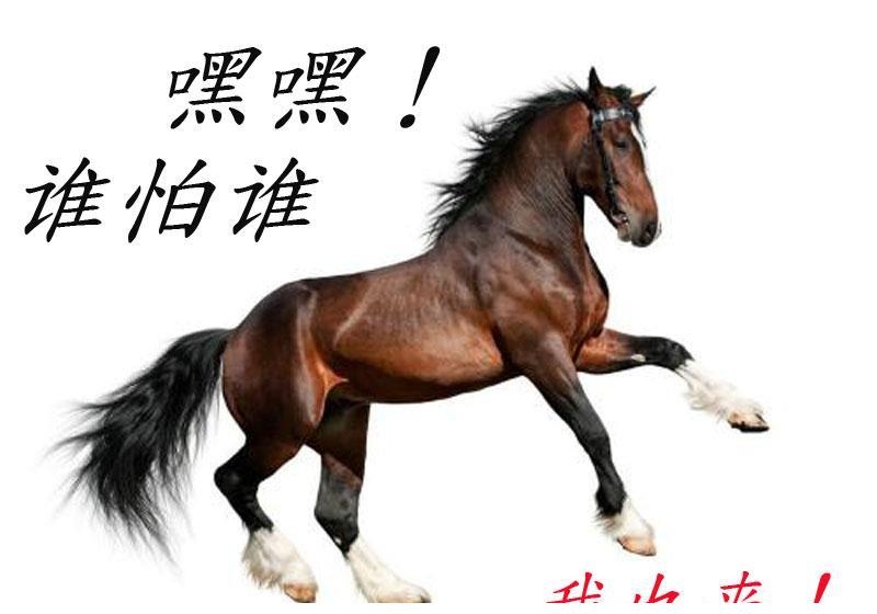 超群出众猜生肖，答案聚焦马与鸡。插图