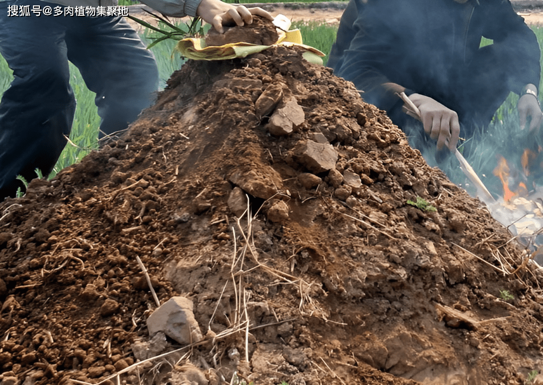 春社上坟最佳时间表插图